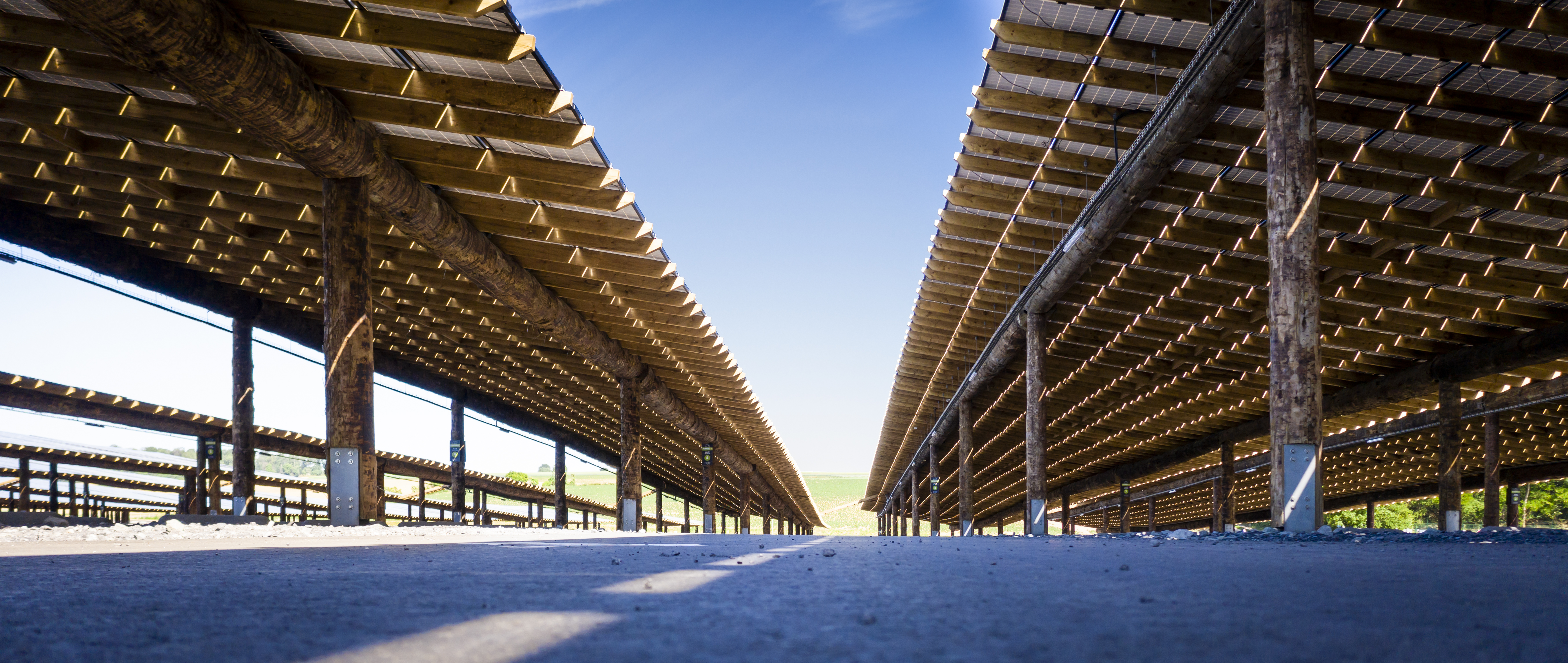 One solution for passenger and yellow fleets